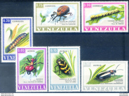 Fauna. Insetti Dannosi 1968. - Venezuela