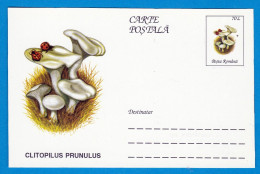 Entier Postal Neuf Roumain édition Luxe Glacé Brillant N° 086 Série 891/1000 Champignon  Mushroom Champignons Pilze - Funghi