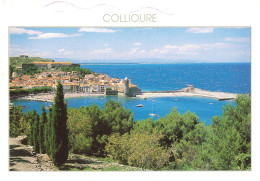 COLLIOURE - LA STATION DE LA COTE VERMEILLE VUE DEPUIS LE JARDIN PAMS AU FOND LA COTE SABLONNEUSE LES CORBIERES - Collioure