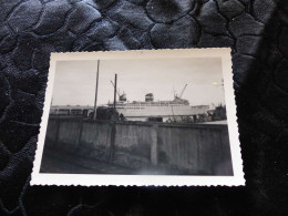 P-659 , Photo Bateau, Paquebot De La Compagnie De Navigation Mixte Le Kairouan, à Alger, 1954 - Boats