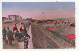 62    BERCK  PLAGE  LA  DIGUE  ET  LA  PLAGE - Berck