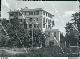 Br570 Cartolina Alassio Albergo Bel Soggiorno Provincia Di Savona Liguria - Savona