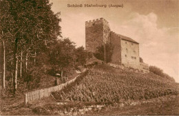 13956026 Habsburg_Schloss_AG Blick Zum Schloss - Altri & Non Classificati