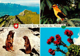 13955650 Rochers_de_Naye_VD Vue Aerienne Sur Montreux Vue D'ensemble - Autres & Non Classés