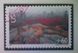 United States, Scott #C138, Used(o), 2001 Air Mail, Acadia National Park, 60¢, Multicolored - Gebraucht