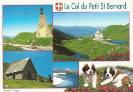 *CPM -73 - Le COL Du PETIT Saint BERNARD - Multivues - Sonstige & Ohne Zuordnung