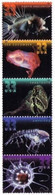 VERINIGTE STAATEN ETAS UNIS USA 2000 DEEP SEA FISH SET 5V MNH SC 3439-43 YT 3130-3134 MI 3379-82 SG 3872-77 - Unused Stamps