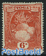 Tonga 1897 6p, Stamp Out Of Set, Unused (hinged), Nature - Sonstige & Ohne Zuordnung