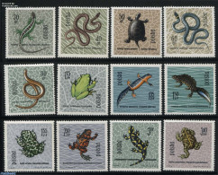 Poland 1963 Reptiles 12v, Mint NH, Nature - Frogs & Toads - Reptiles - Snakes - Turtles - Unused Stamps