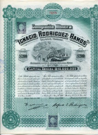 Mexico: Compania Minera "IGNACIO RODRIGUEZ RAMOS" - Andere & Zonder Classificatie