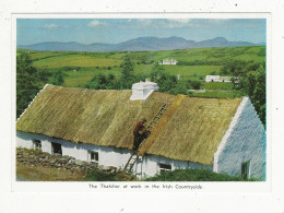 180 - The Thatcher At Work In The Irish Countryside - Andere & Zonder Classificatie