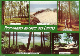 *CPM - 40 - LES LANDES - Promenades Au Cœur Des Landes - Multivues - Autres & Non Classés