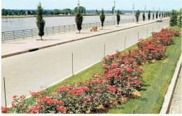 CPM FRANCE 03 ALLIER VICHY - Les Nouvelles Avenues Bordant Le Lac D'Allier - 1965 - Vichy