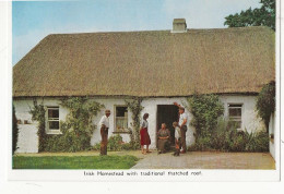 181 -Irish Homestead With Traditional Thatched Roof - Other & Unclassified