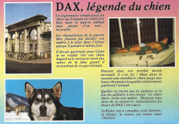 *CPM - 40 - DAX - La Légende Du Chien - Dax