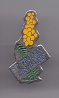 Pin's Saint Trojan Les Bains Fête Du Mimosas En Charente Maritime Dpt 17  Réf 2422 - Steden