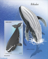 Sierra Leone 2022 Whales, Mint NH, Nature - Sea Mammals - Autres & Non Classés
