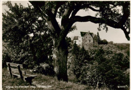 13896607 Salenstein TG Schloss Salenstein TG - Sonstige & Ohne Zuordnung