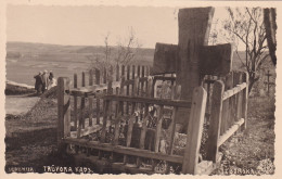 Izborsk.Truvor Grave. - Estonia