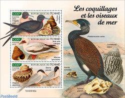 Chad 2023 Shells And Seabirds, Mint NH, Nature - Birds - Shells & Crustaceans - Otros & Sin Clasificación