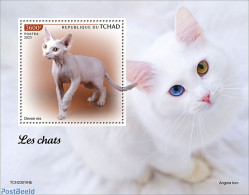 Chad 2023 Cats, Mint NH, Nature - Cats - Sonstige & Ohne Zuordnung