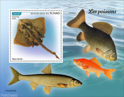 Chad 2023 Fishes, Mint NH, Nature - Fish - Autres & Non Classés