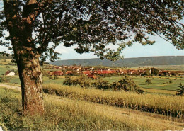 13884409 Siblingen SH Panorama   - Other & Unclassified