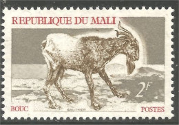 AF-195 Mali Chèvre Goat Ziege Cabra Capra Cabri Bouc Buck MVLH * Neuf - Andere & Zonder Classificatie
