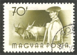 AF-202 Hongrie Boeuf Bull Vache Cow Ox Oxen - Landwirtschaft