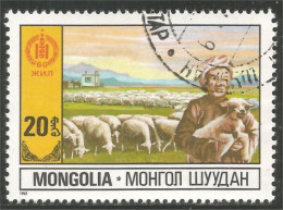 AF-174 Mongolie Agriculture Elevage Mouton Sheep Schapen Pecora Oveja - Autres & Non Classés