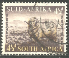 AF-173 South Africa Agriculture Elevage Mouton Sheep Schapen Pecora Oveja - Altri & Non Classificati