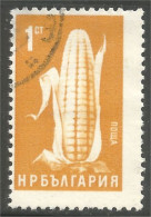 AF-168 Bulgarie Agriculture Mais Corn Maize - Agricultura