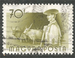 AF-179a Hongrie Vache Cow Kuh Koe Mucca Vacca Vaca - Vacas