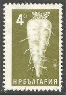 AF-167 Bulgarie Agriculture Betterave Beet - Agriculture