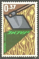 AF-152 Israel Agriculture Culture Bêche Spade Spaten MH * Neuf - Landbouw