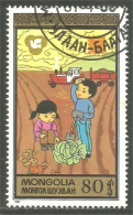 AF-143 Mongolia Chou Cabbage Potato Pomme Terre Tracteur Tractor Agriculture - Landwirtschaft