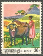 AF-136 Guinée Elevage Buffle Buffalo - Landbouw