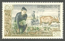 AF-130 Laos Riz Rice Reis Buffle Buffalo - Agriculture