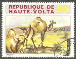 AF-140 Haute-Volta Elevage Chameau Camel Dromadaire - Agriculture