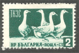 AF-124 Bulgarie Oie Goose Geese Gans Oca Ganso - Agriculture