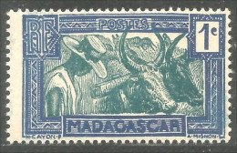 AF-119 Madagascar Elevage Zebu Vache Cow Kuh Koe Mucca Vacca Vaca MH * Neuf - Food