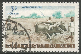 AF-114 Mali Agriculture Vache Cow Kuh Koe Mucca Vacca Vaca - Agricultura