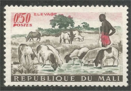 AF-111 Mali Elevage Mouton Schapen Pecora Oveja Sheep Rammen Ariete - Landbouw