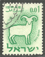 AF-109 Israel Mouton Schapen Pecora Oveja Sheep Rammen Ariete - Agriculture