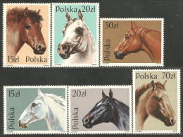 AF-105c Pologne Cheval Horse Pferd Caballo Cavallo Paard MNH ** Neuf SC - Chevaux
