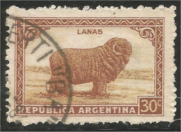 AF-75 Argentina Mouton Schapen Pecora Oveja Sheep Rammen Ariete - Levensmiddelen