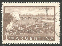 AF-78 Argentina Vache Cow Kuh Koe Mucca Vacca Vaca - Landwirtschaft