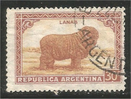 AF-74 Argentina Mouton Schapen Pecora Oveja Sheep Rammen Ariete - Agricultura