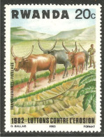 AF-66 Rwanda Vache Cow Kuh Koe Mucca Vacca Vaca - Vaches