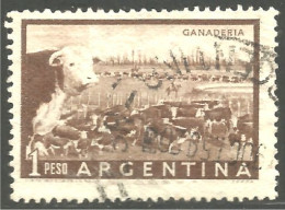 AF-67b Argentina Vache Cow Kuh Koe Mucca Vacca Vaca - Kühe